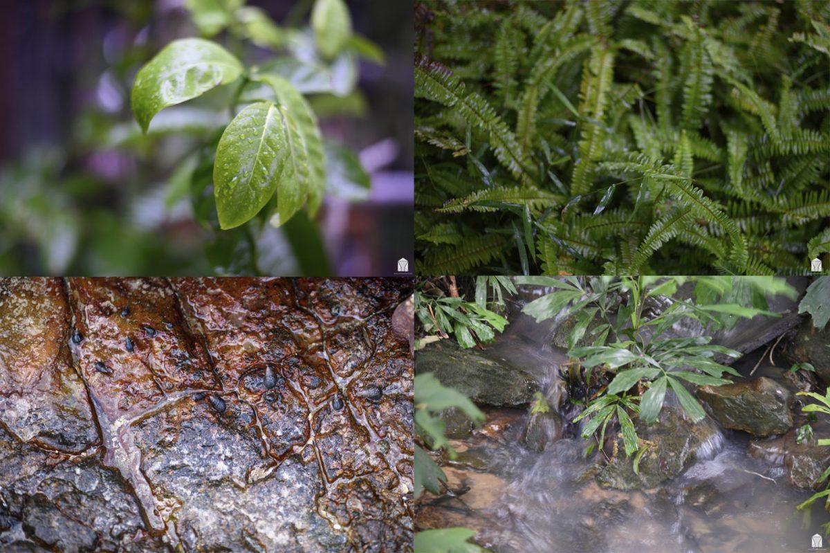 KohKood-Resort - Kohkood-109