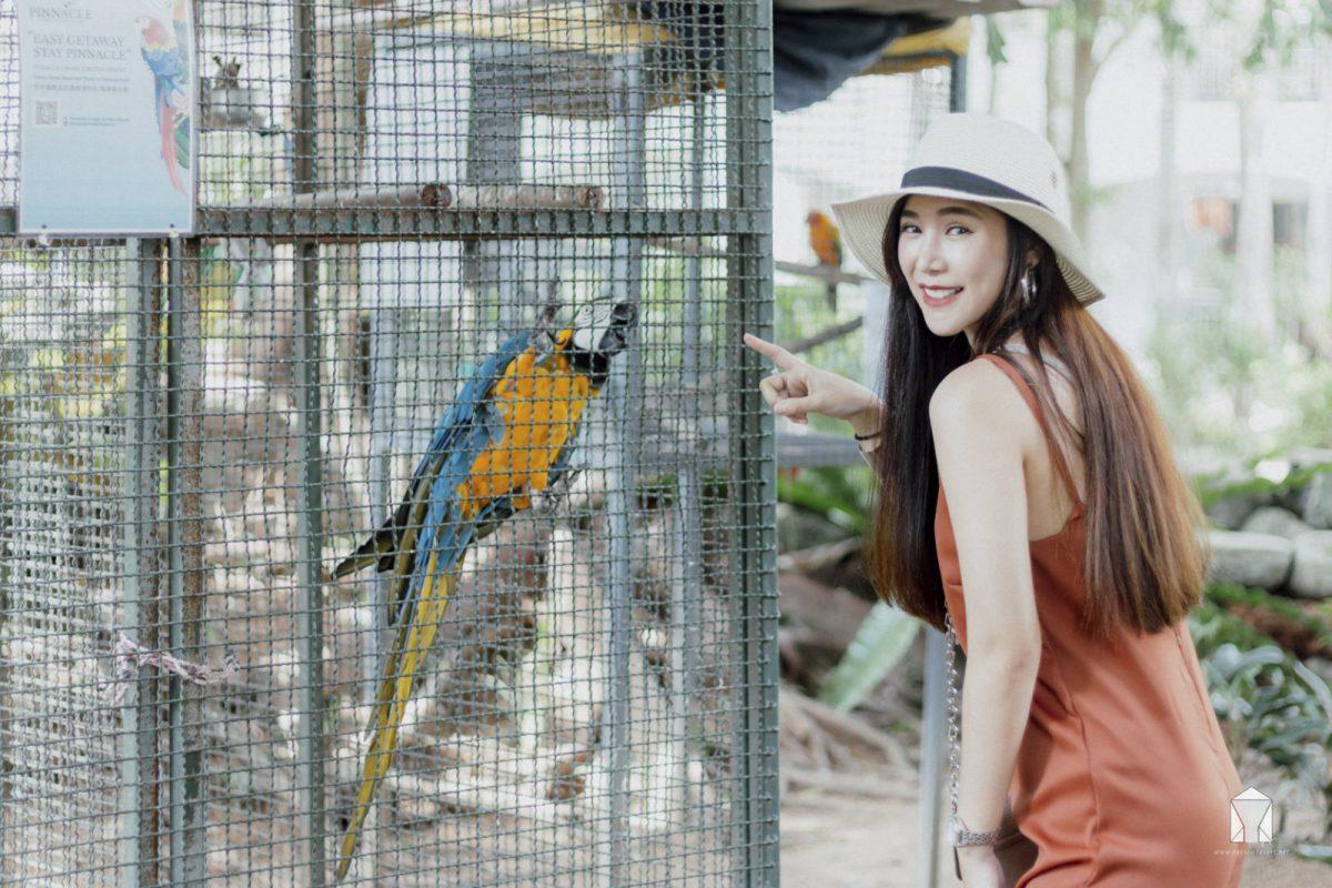 Pinnacle-Grand-Jomtien - Pinnacle-11.jpg